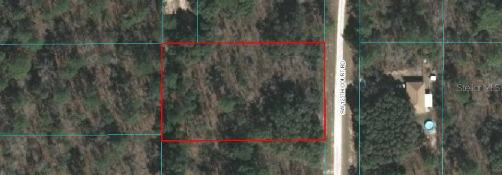 Dunnellon, FL 34432,0 SW 125TH COURT RD