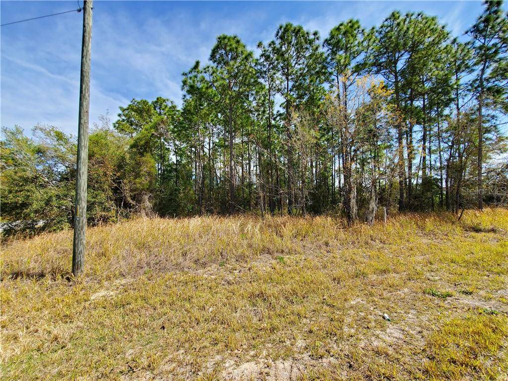 Ocala, FL 34472,tbd E HEMLOCK RD