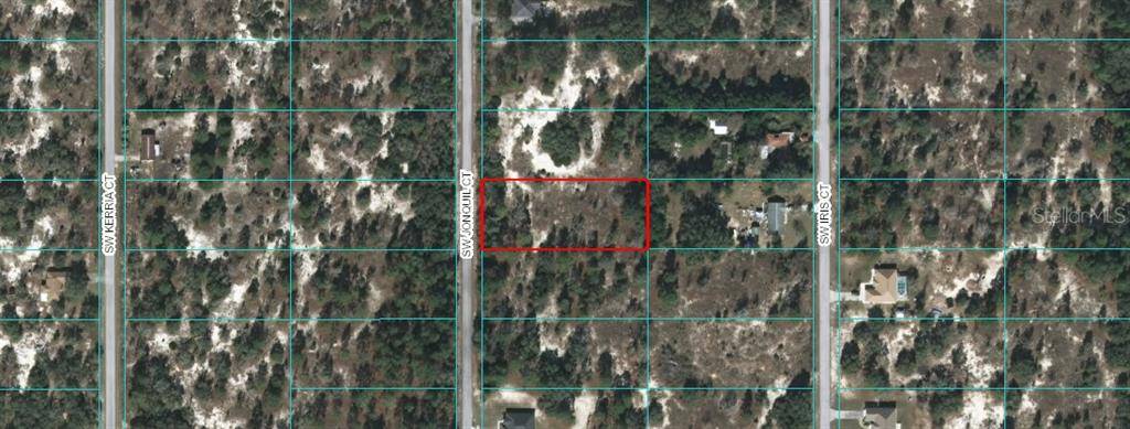 Dunnellon, FL 34431,000 SW JONQUIL CT LOT 31