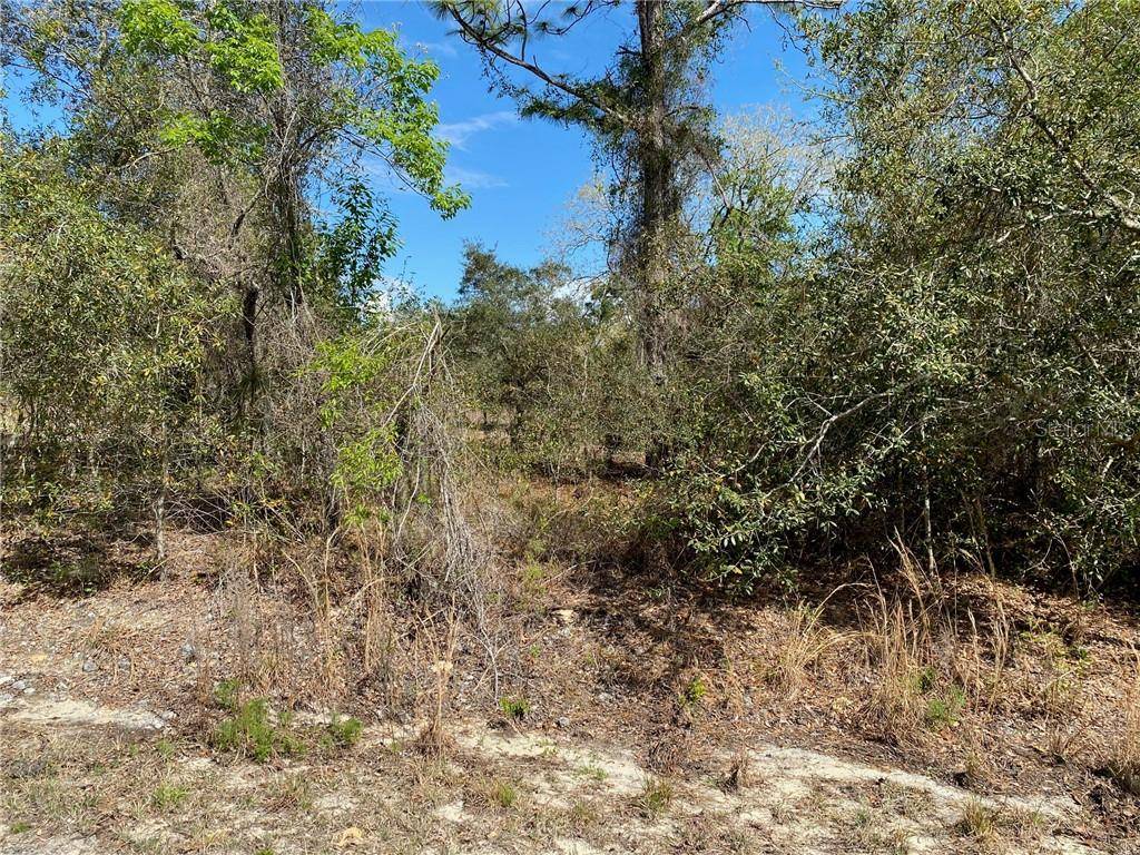 Dunnellon, FL 34431,000 SW JONQUIL CT LOT 31