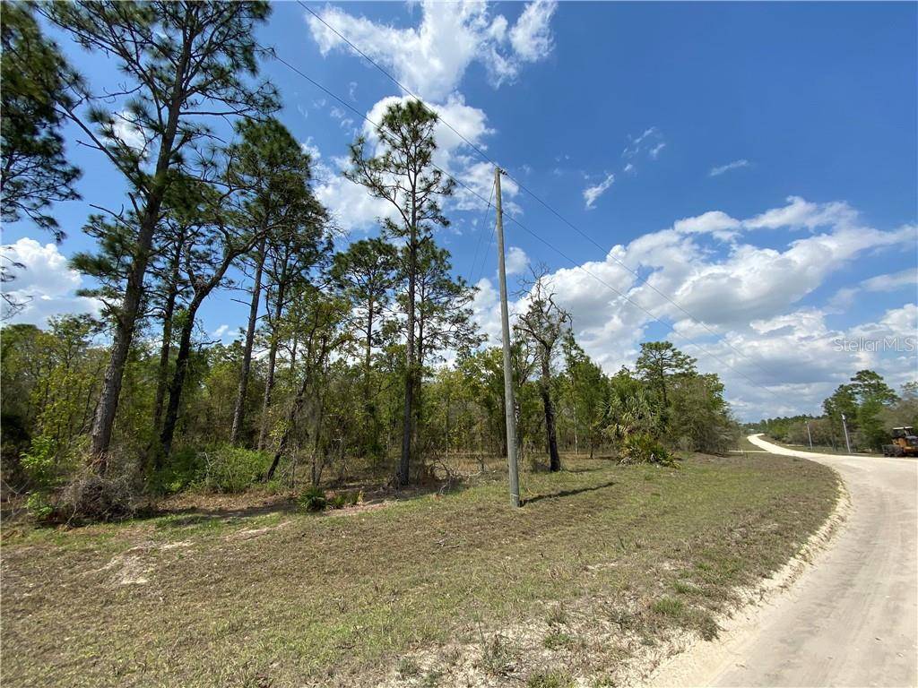 Morriston, FL 32668,TBD SE 123RD TER