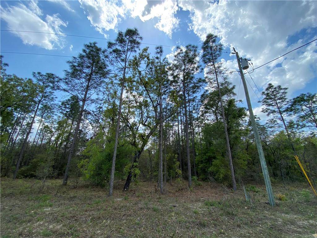 Morriston, FL 32668,TBD SE 123RD TER