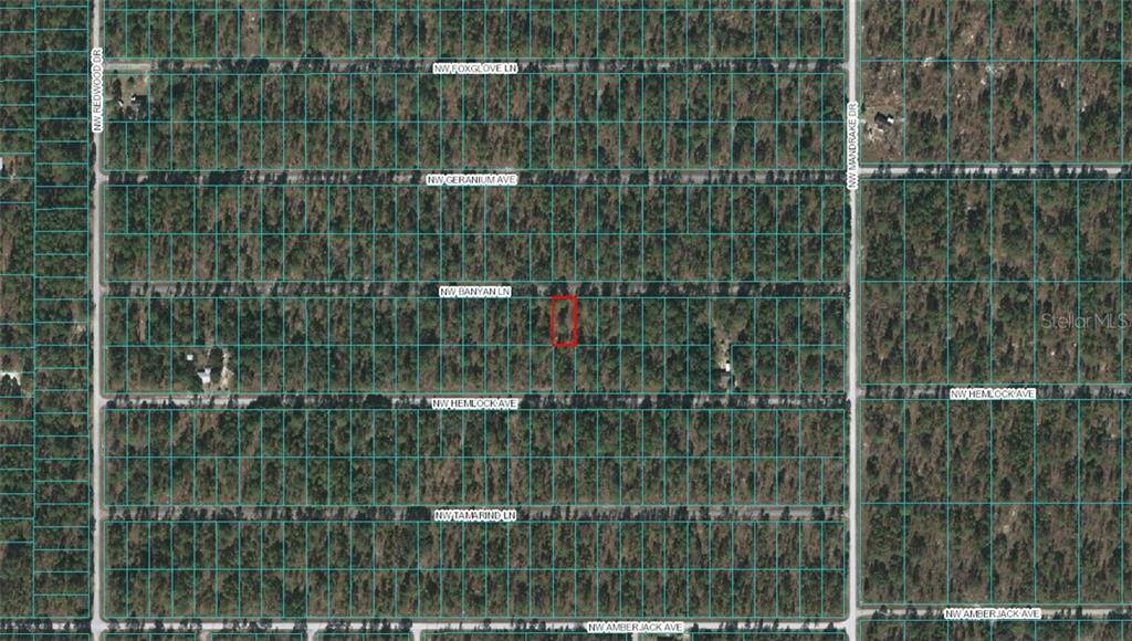 Dunnellon, FL 34431,Lot 21 NW BANYAN LN