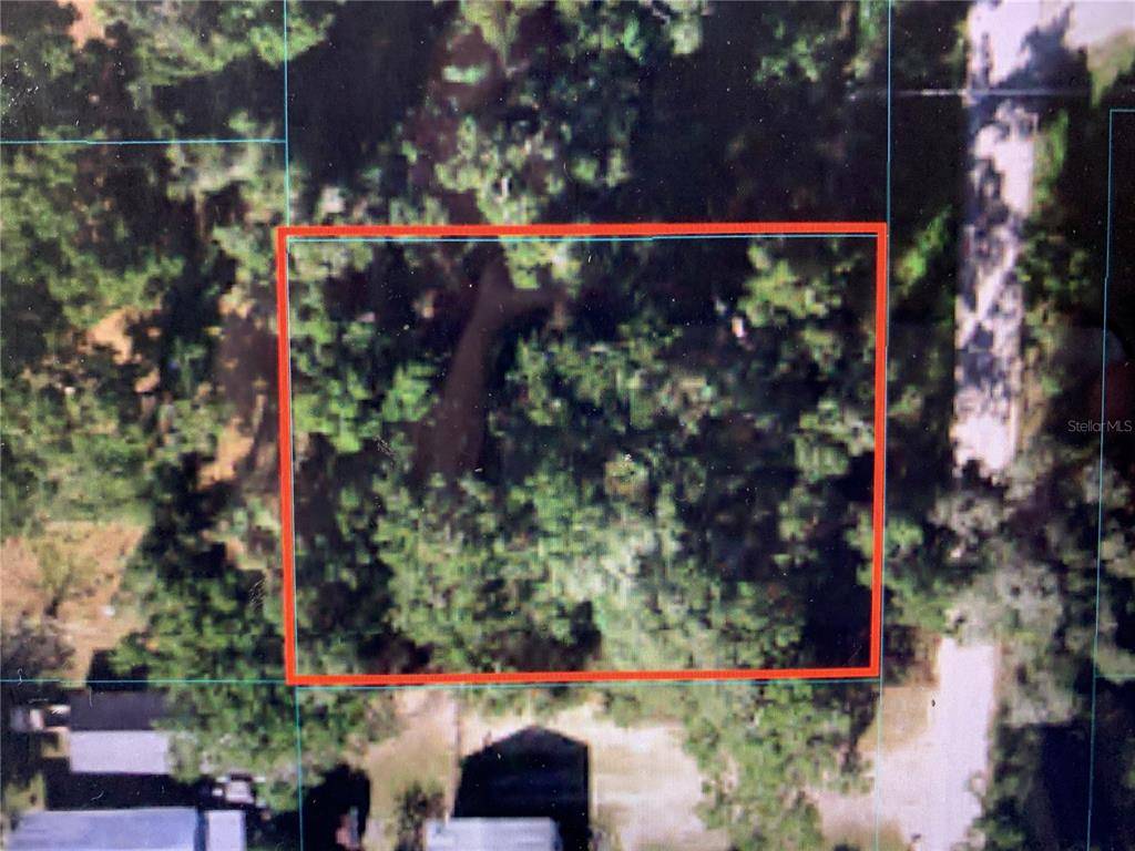 Belleview, FL 34420,TBD SE 40TH AVE