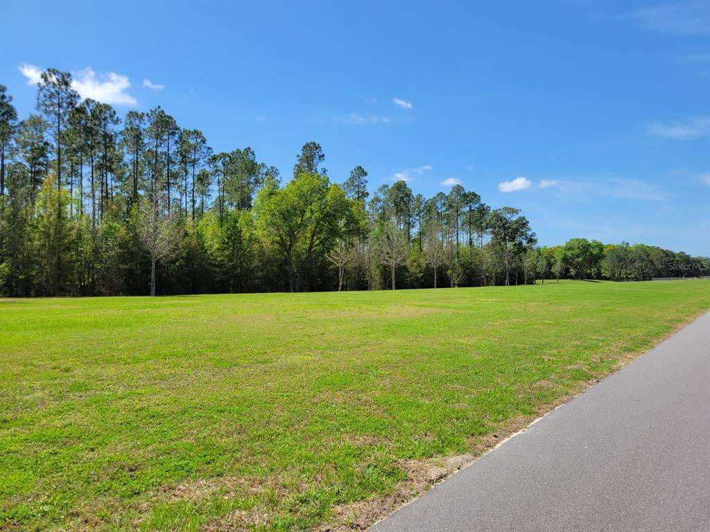 Summerfield, FL 34491,0 SE 159TH LN #Lot 33