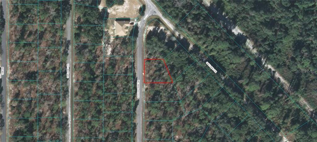 Ocala, FL 34471,TBD LOCUST LANE DR