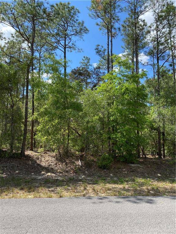 Dunnellon, FL 34431,00 SW 209 CT