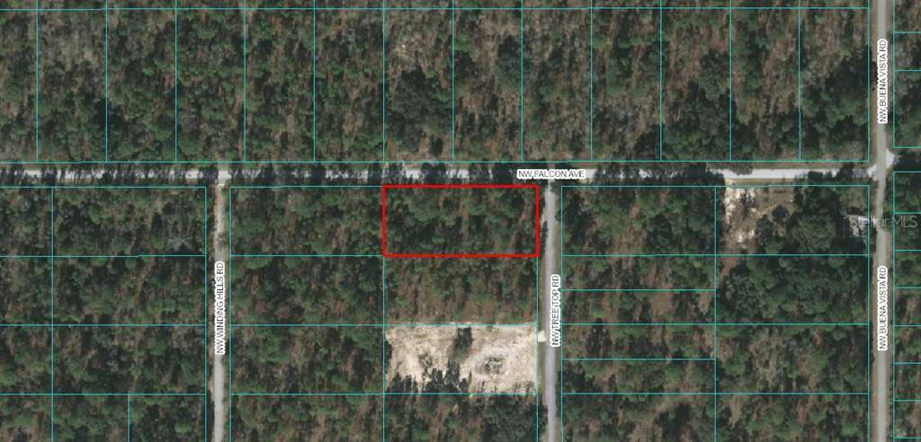 Dunnellon, FL 34431,LOT 1 NW FALCON AVE