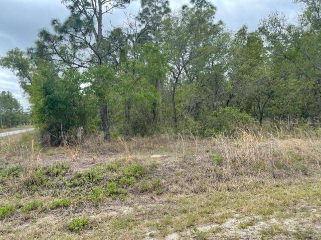 Dunnellon, FL 34431,00 SW VIBURNUM RD