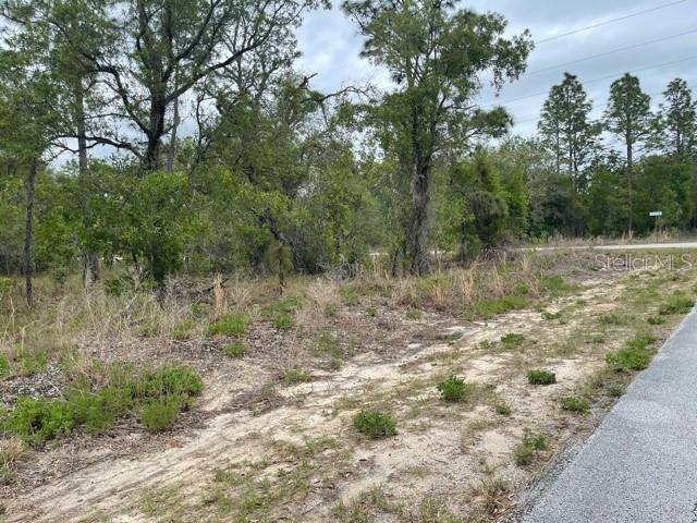 Dunnellon, FL 34431,00 SW VIBURNUM RD