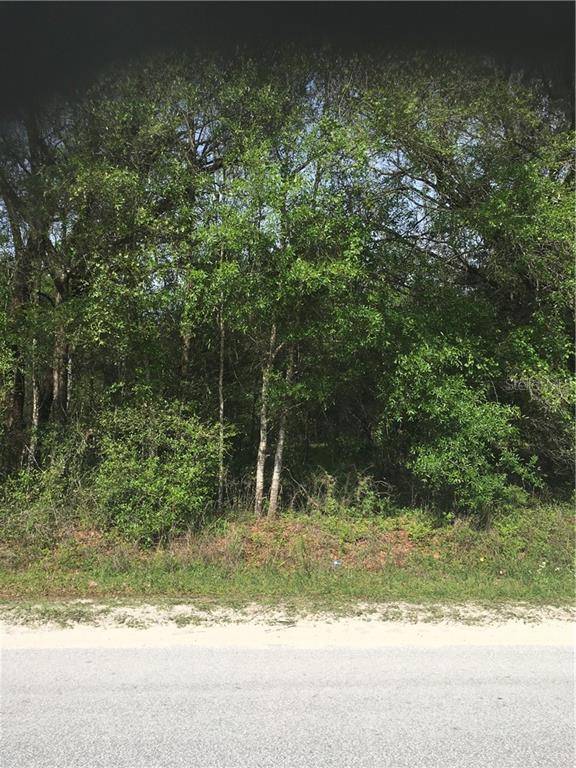 Anthony, FL 32617,TBD NE 38 TH AVE