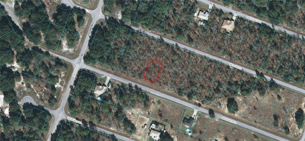 Ocklawaha, FL 32179,00 MALAUKA RADL