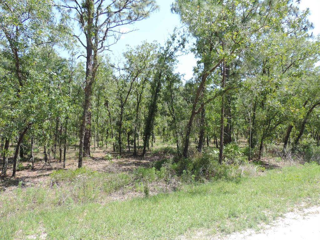 Dunnellon, FL 34432,12385 SW 98 ST