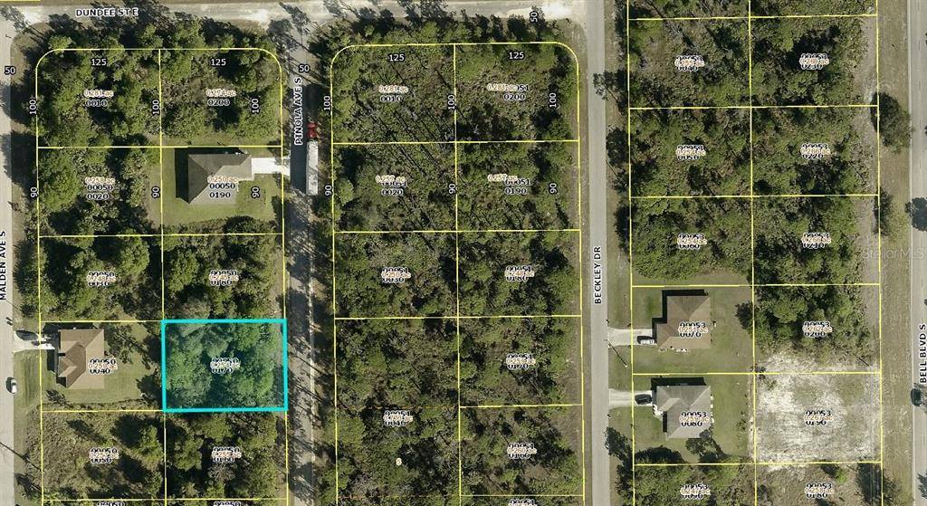 Lehigh Acres, FL 33974,224 PINOLA AVE S