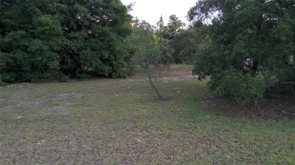 Dunnellon, FL 34431,tbd SW TIGER LAKE BLVD