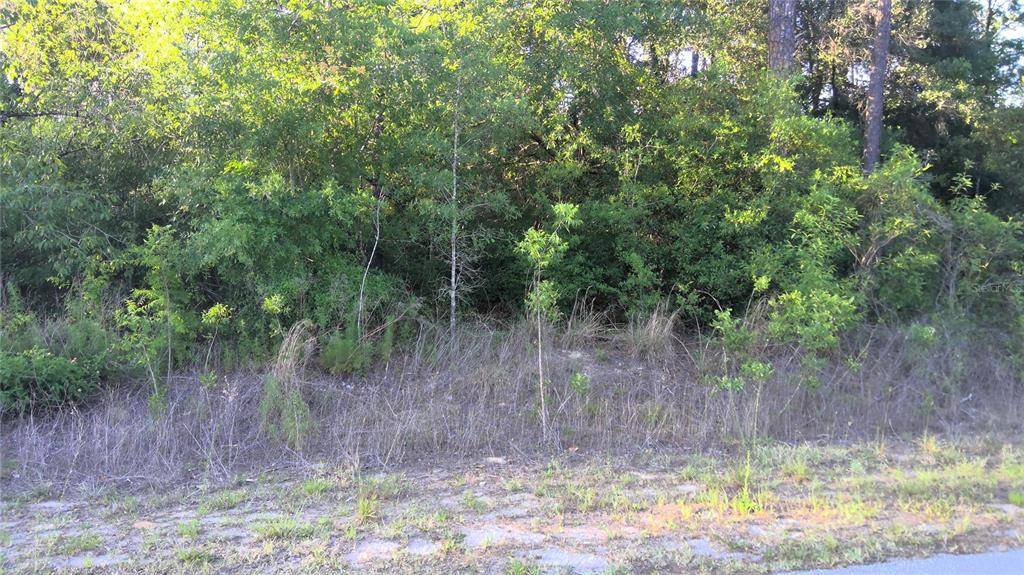 Dunnellon, FL 34431,TBD SW PINE BLUFFS RD