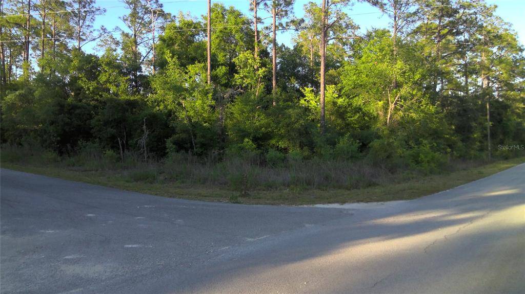 Dunnellon, FL 34431,TBD SW PINE BLUFFS RD