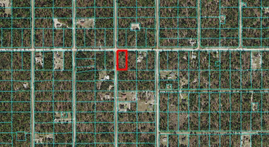 Dunnellon, FL 34432,TBD SW 125TH TER