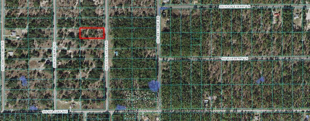 Dunnellon, FL 34431,TBD LITTLE CLIFFS DR