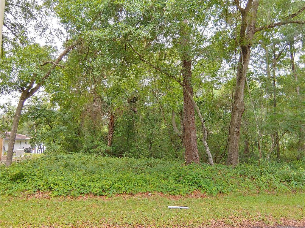 Ocklawaha, FL 32179,SE 170TH CT