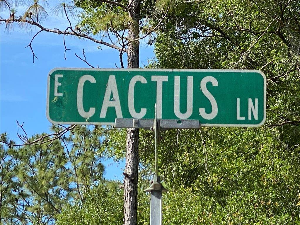 Citrus Springs, FL 34434,1406 E CACTUS LN