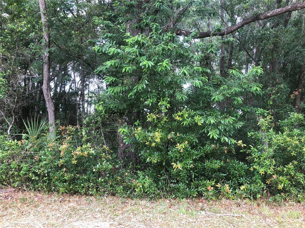 Dunnellon, FL 34431,TBD SW SHOREWOOD DR