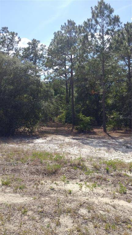 Dunnellon, FL 34431,NW SOUTH WIND CT