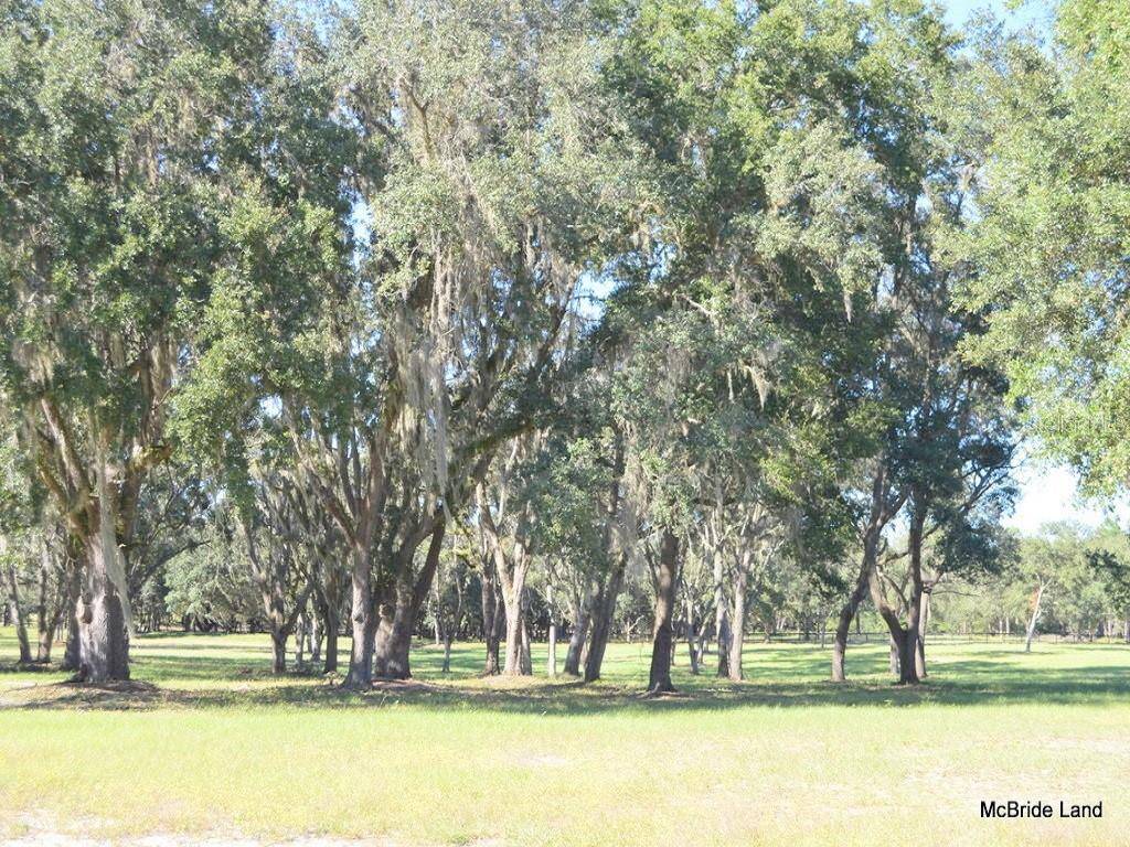 Anthony, FL 32617,Lot 18 NE 111 LANE ROAD