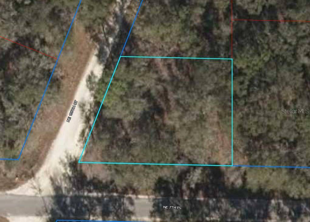 Williston, FL 32696,TBD NE 7TH PL