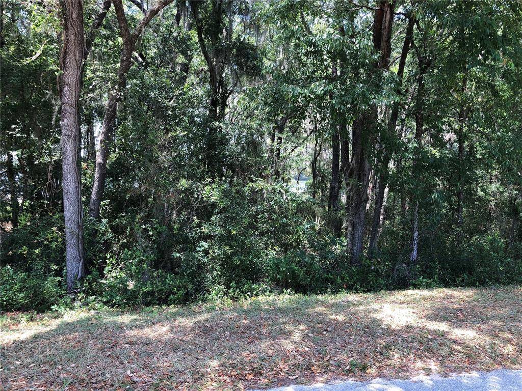 Dunnellon, FL 34431,Lots 174,175 SW SHOREWOOD DR