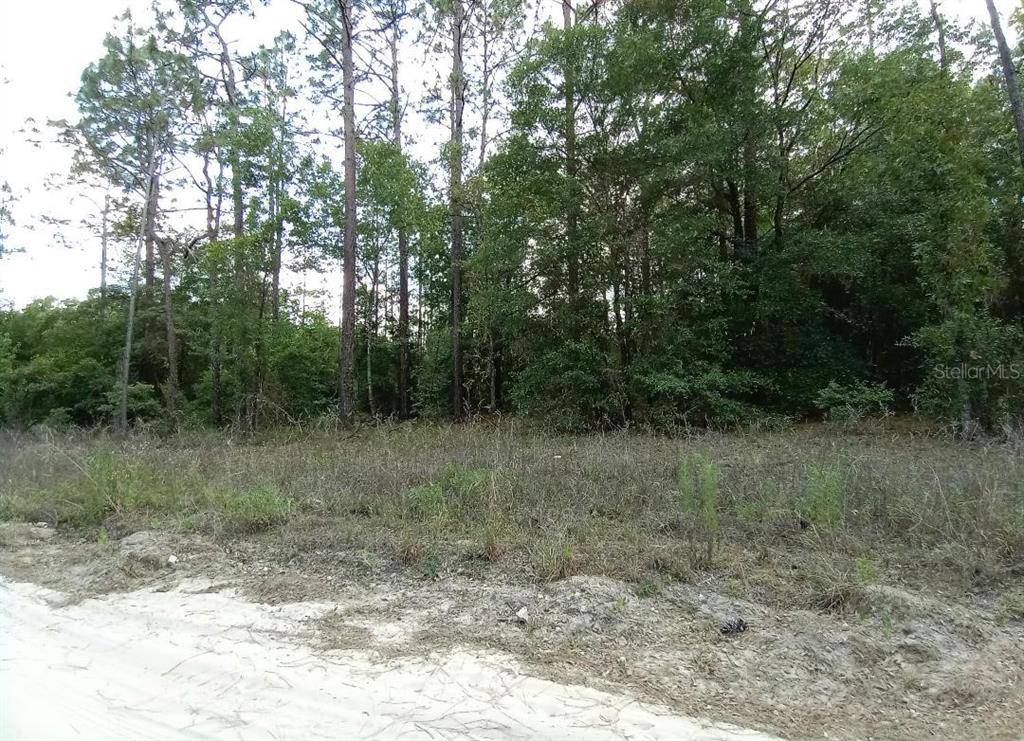 Bronson, FL 32621,0 NE 100TH ST