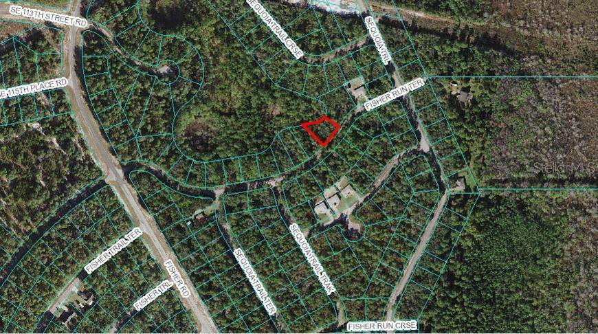 Ocklawaha, FL 32179,Lot 19 FISHER RUN TER