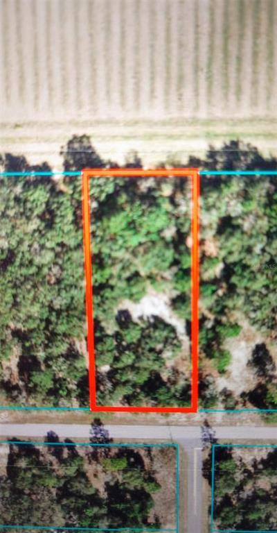 Dunnellon, FL 34431,00 SW PINE BLUFFS RD #LOT 20