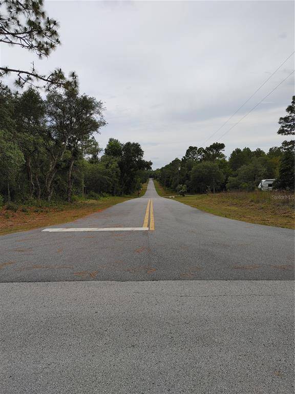 Dunnellon, FL 34431,00 SW PINE BLUFFS RD #LOT 20