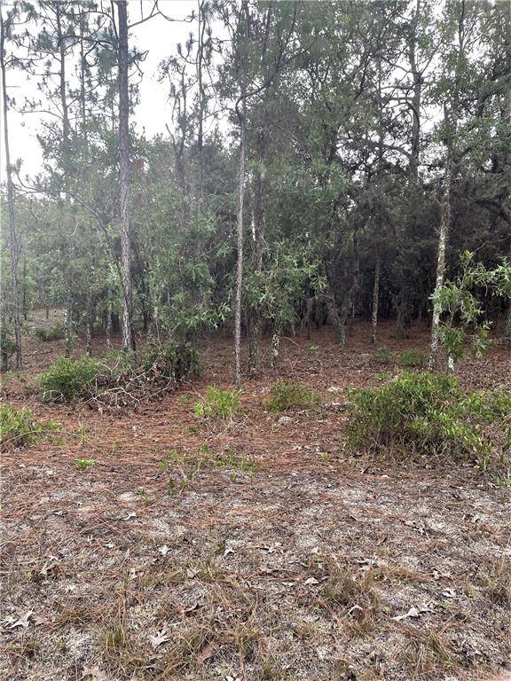 Dunnellon, FL 34432,TBD SW 87TH ST