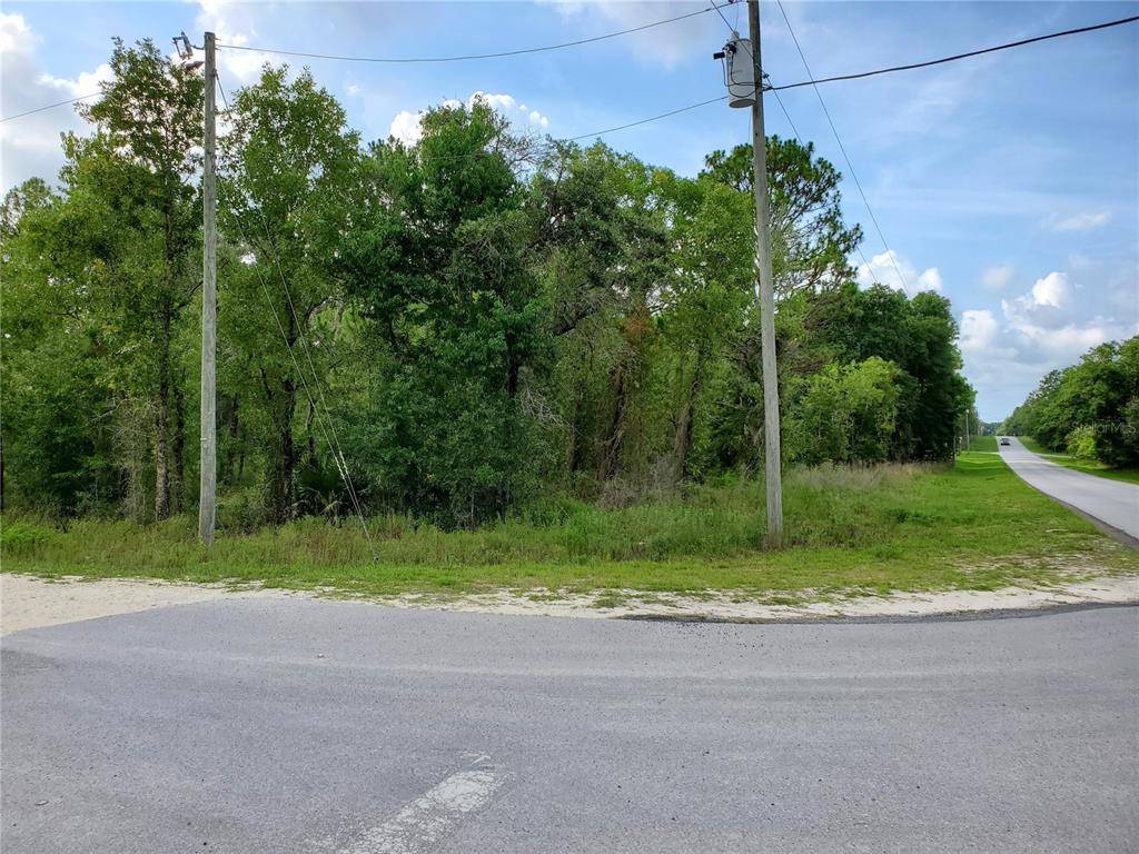 Dunnellon, FL 34432,LOT 12 SW 93RD ST