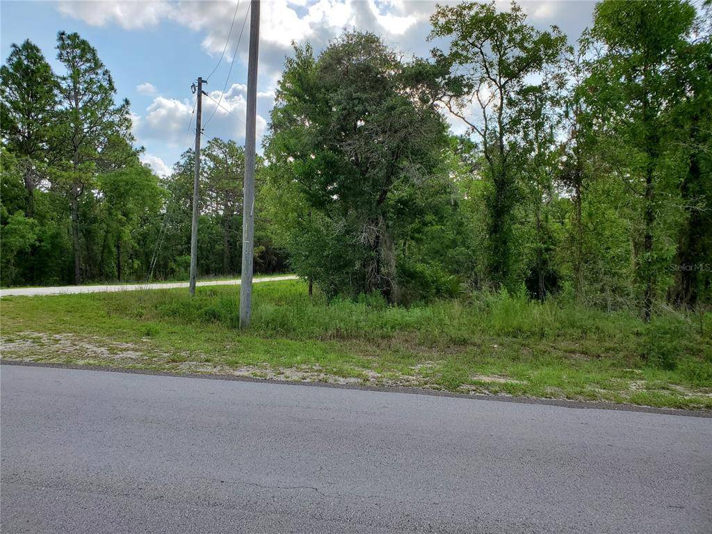 Dunnellon, FL 34432,LOT 12 SW 93RD ST