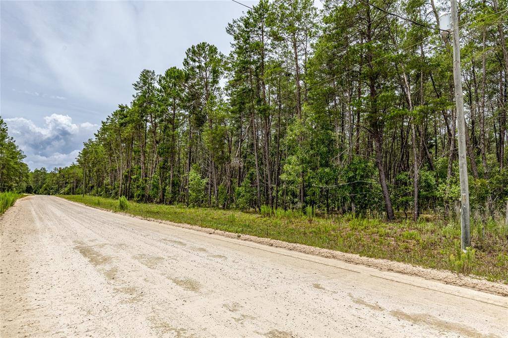 Morriston, FL 32668,Lot 12 SE 128TH TER