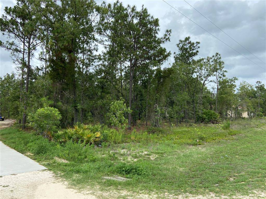 Dunnellon, FL 34432,0000 SW 80TH SW