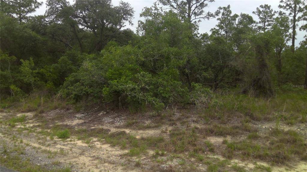 Dunnellon, FL 34431,lot 26 SW NORTH LAKE BLVD