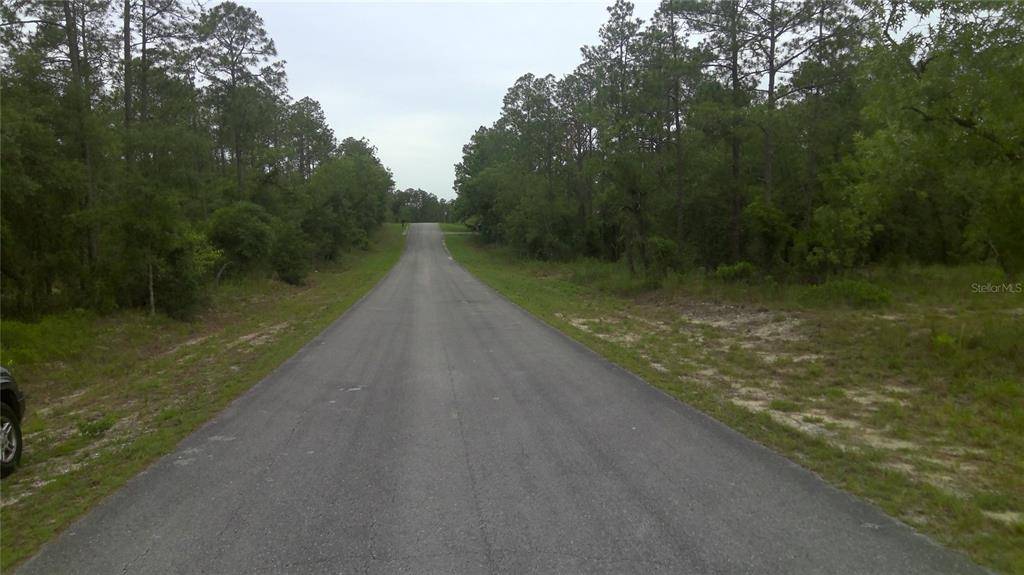 Dunnellon, FL 34431,lot 26 SW NORTH LAKE BLVD