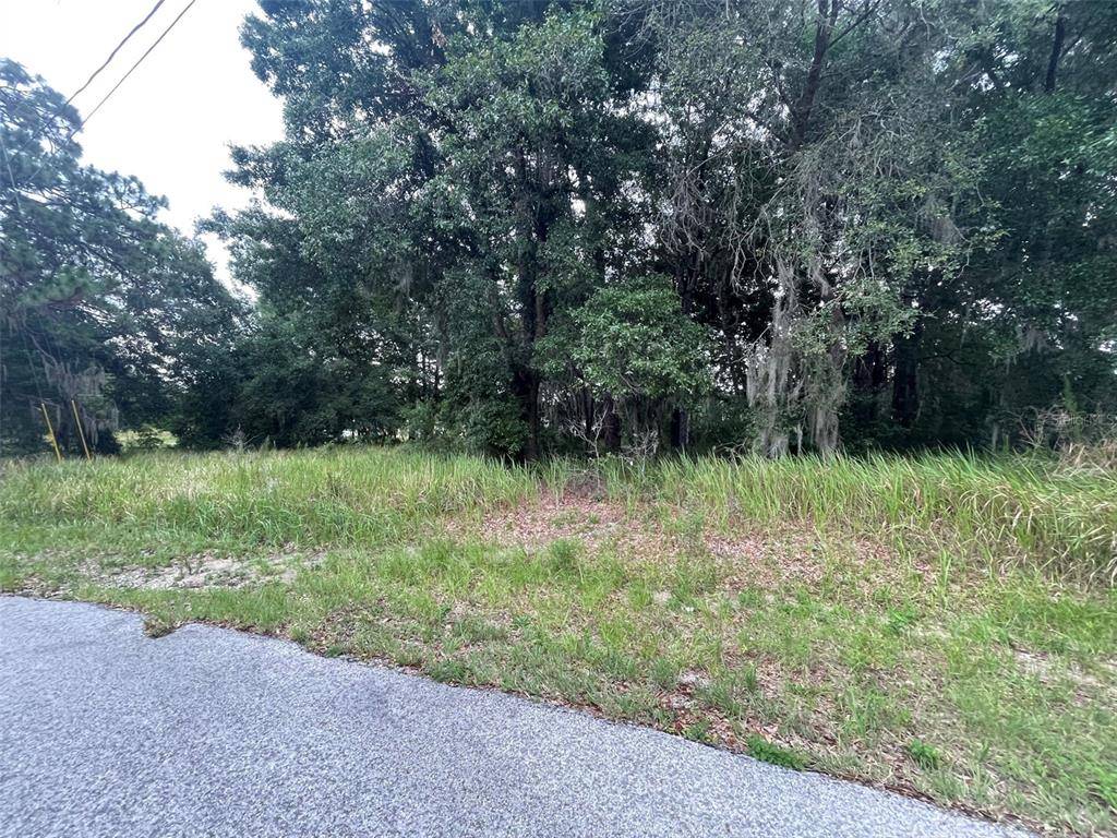 Ocala, FL 34473,0 PINE TRACK LOOP