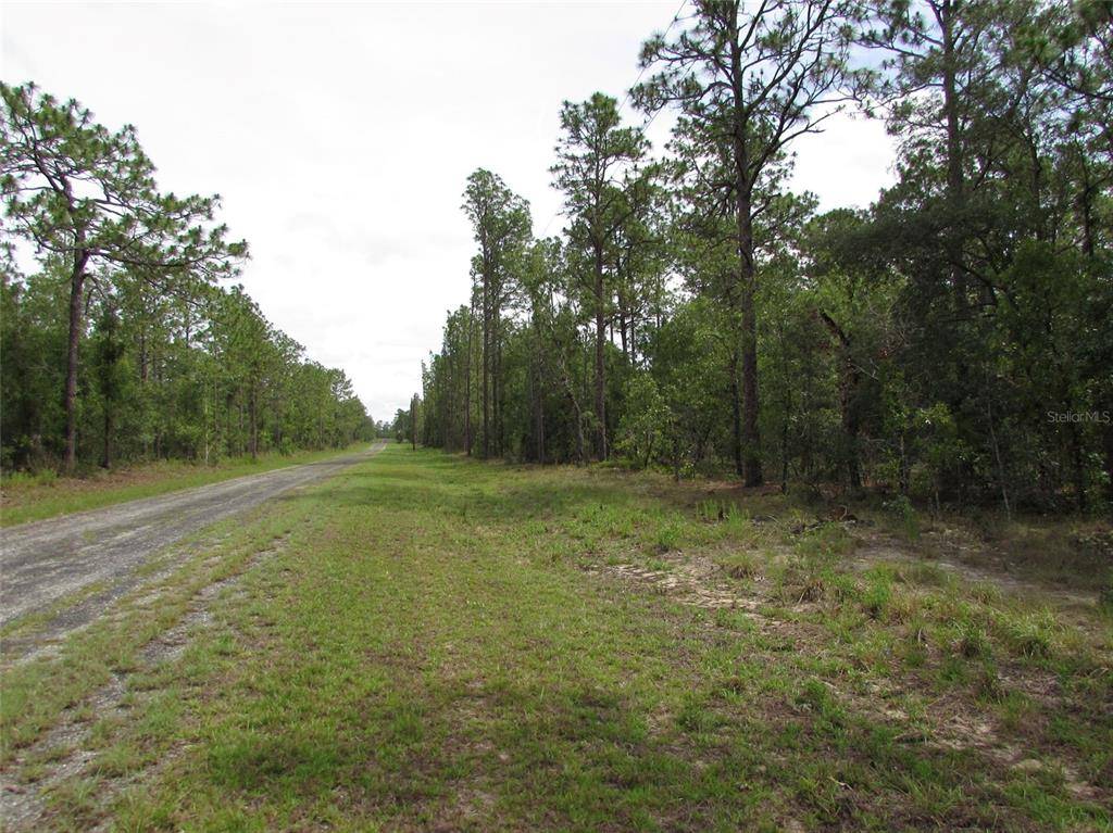 Dunnellon, FL 34431,LOT 41 SE 131 ST AVE