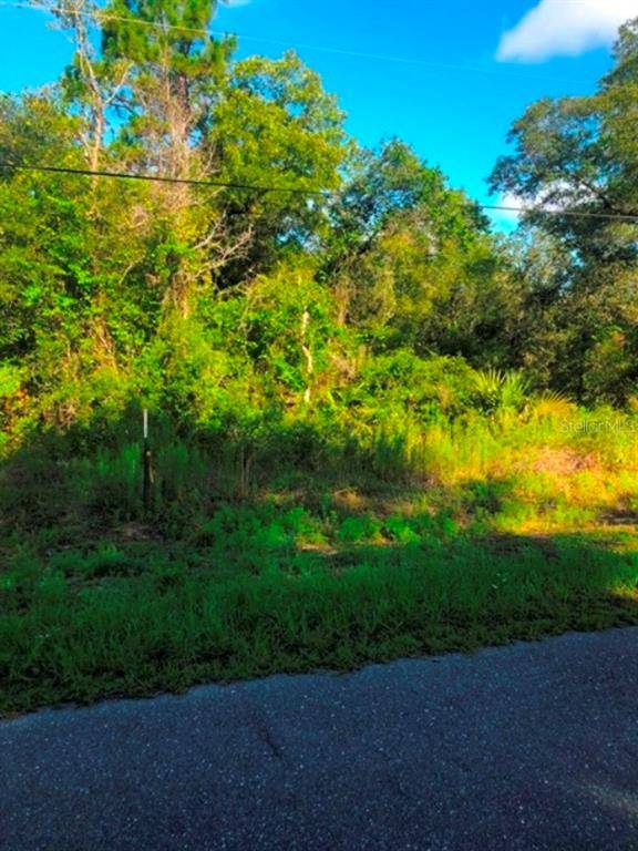 Dunnellon, FL 34431,TBD SW PERSIMMON LN