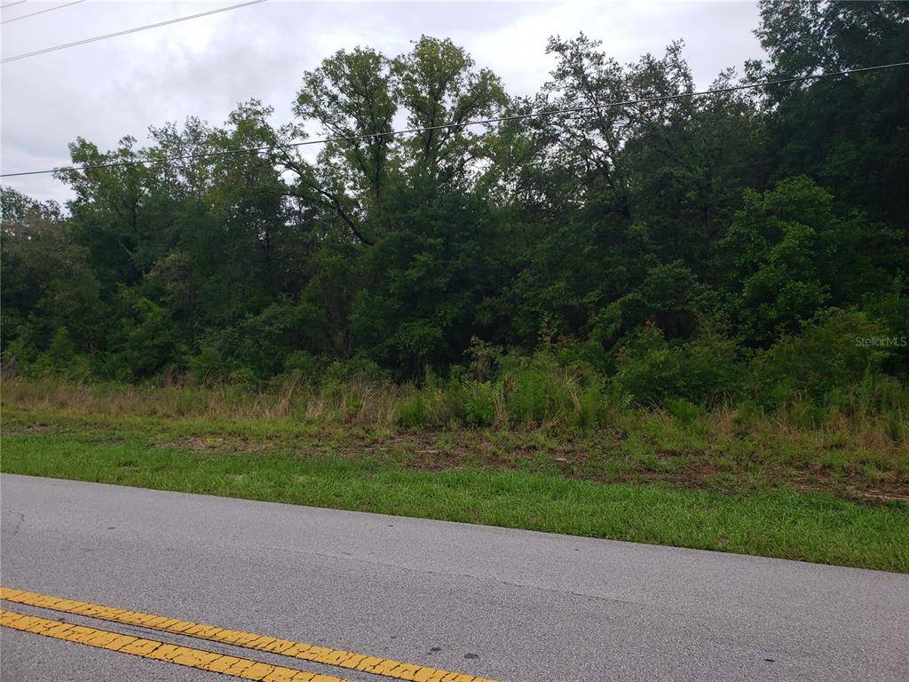 Dunnellon, FL 34431,TBD SW RAINBOW LAKES BLVD