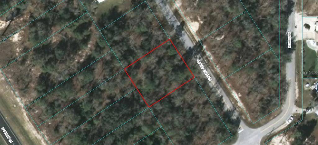 Summerfield, FL 34491,TBD SE 91 COURT RD