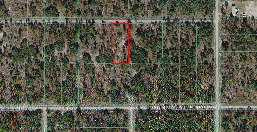 Dunnellon, FL 34431,XX SW MINEOLA LN