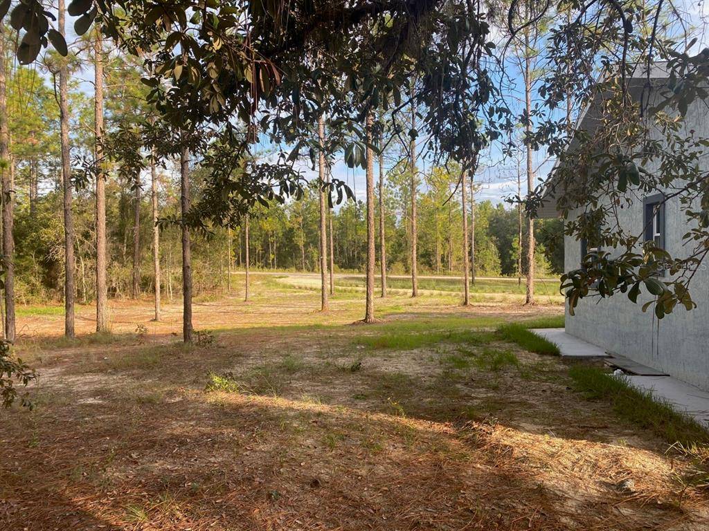 Williston, FL 32696,14410 SE 10TH ST