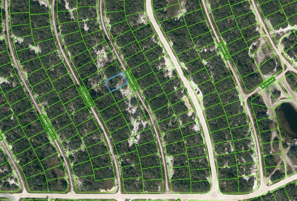 Lake Placid, FL 33852,218 BRIARWAY DR