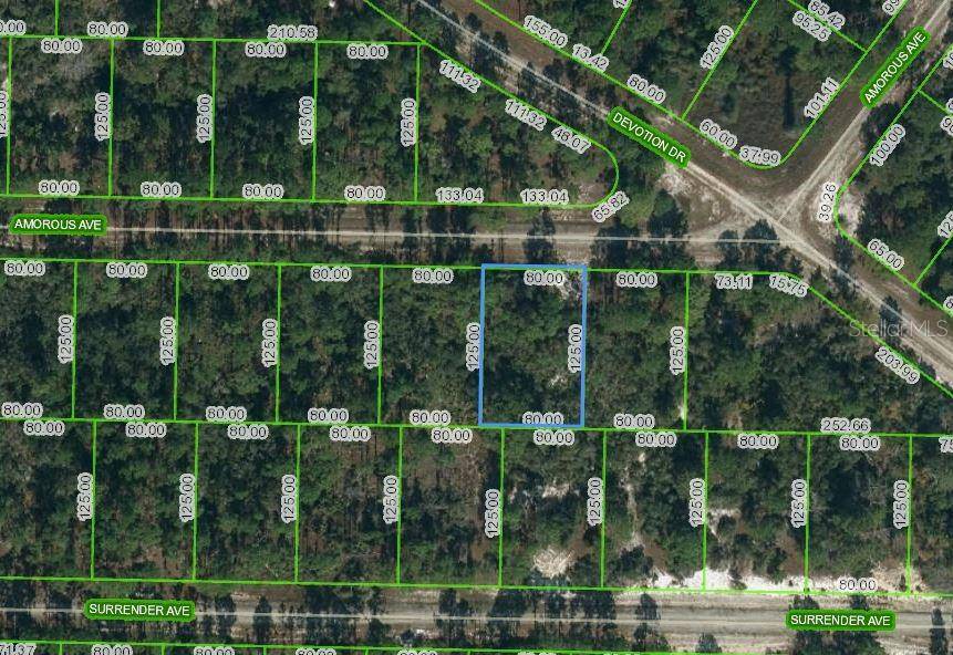 Lake Placid, FL 33852,427 AMOROUS AVE